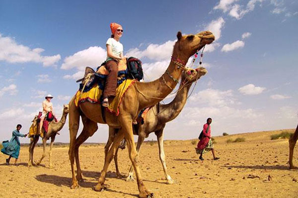camel riding at thar desert camp in Jaisalmer